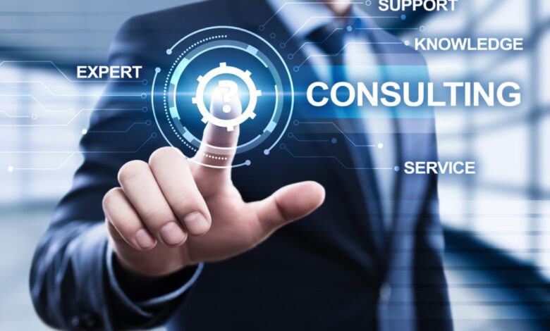 Pedrovazpaulo Business Consultant